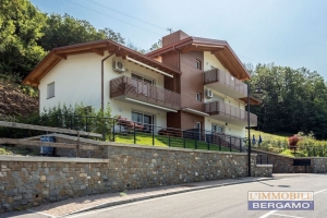 Q214A, SANT'OMOBONO